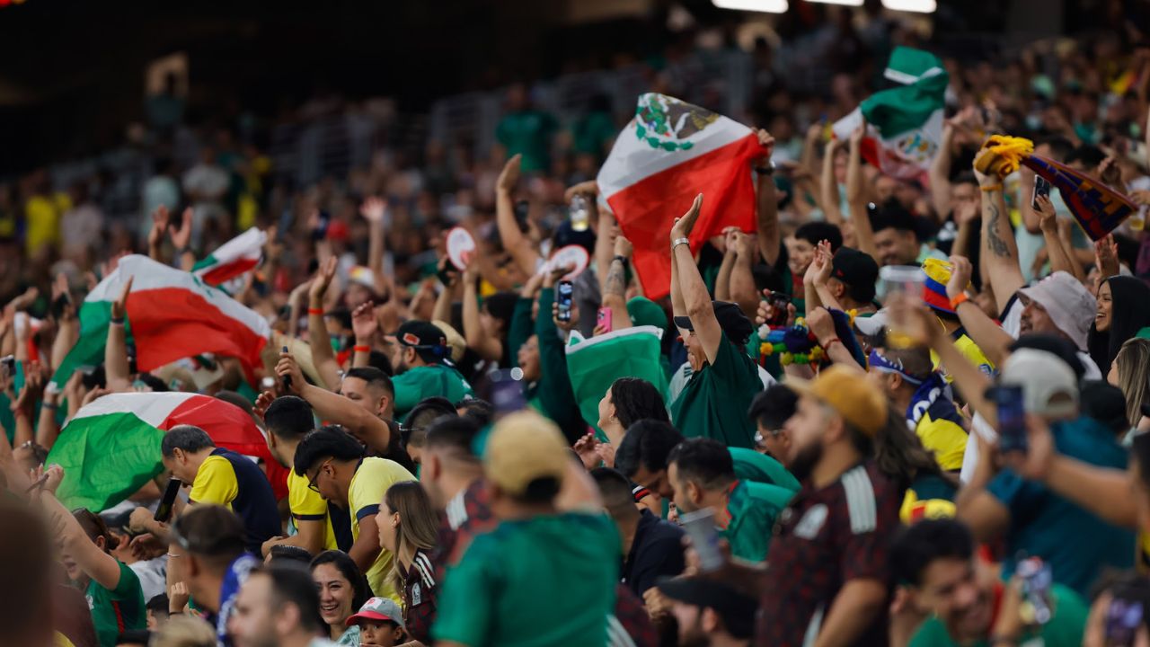 El seleccionado tricolor tendrá actividad por primera vez luego de la eliminación en fase de grupos de la Copa América 2024