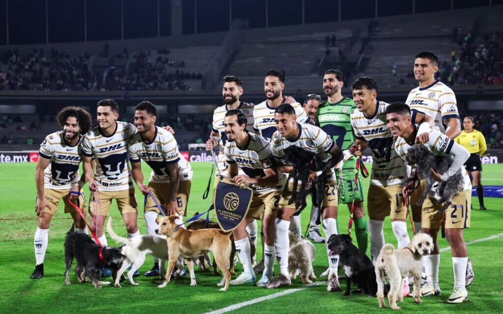 Pumas sueña con la liguilla directa