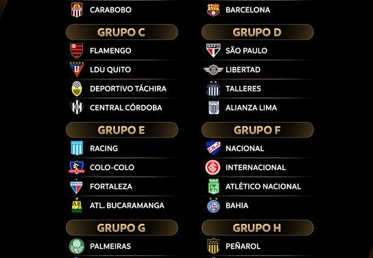 Copa Libertadores: definidos los grupos del torneo